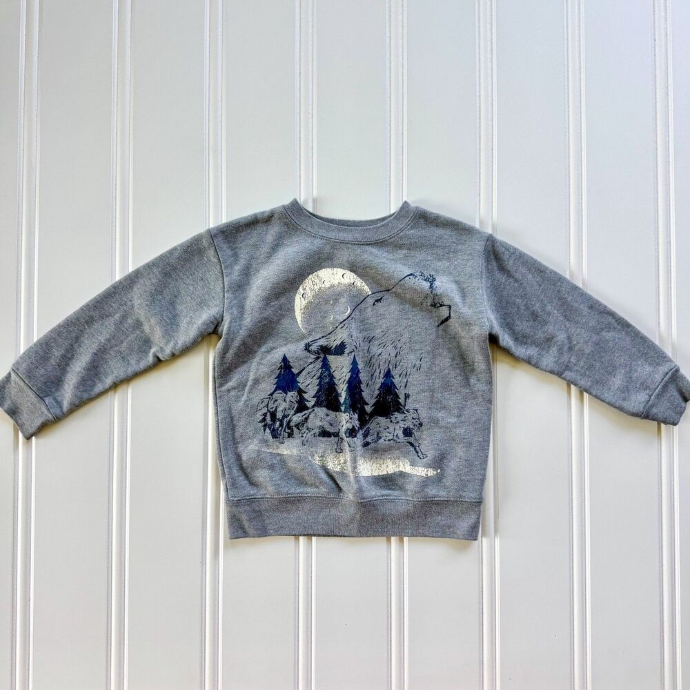4/$10 - Garanimals Toddler Boys Wilderness Sweatshirt - Picture 2 of 6